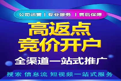 某电商平台的SEM代运营策略解析